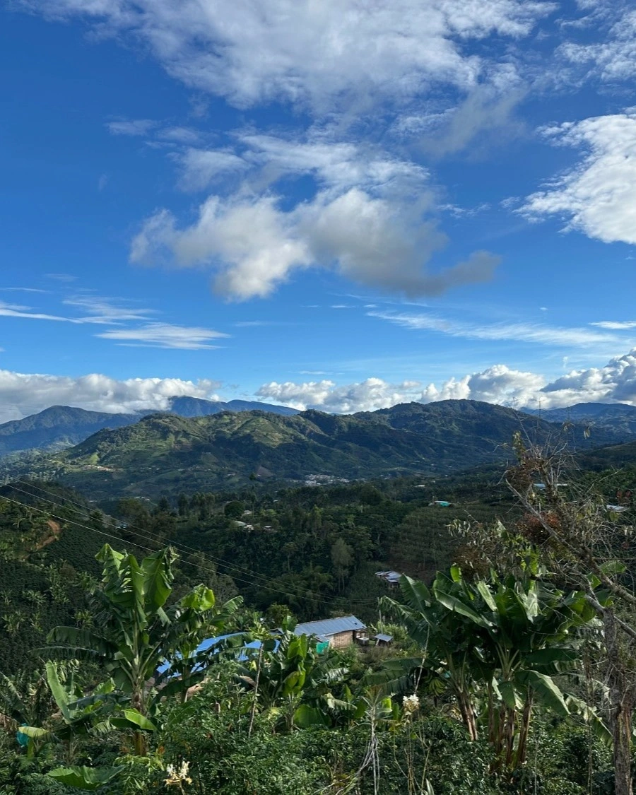 region Chinchina Caldas